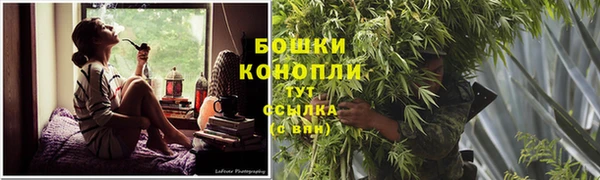 ПСИЛОЦИБИНОВЫЕ ГРИБЫ Лиски