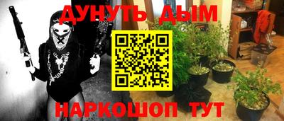 альфа пвп Заводоуковск