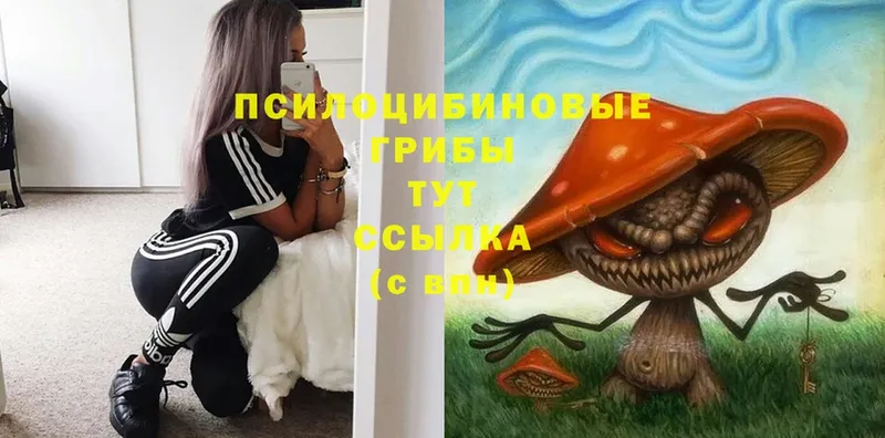 Псилоцибиновые грибы Magic Shrooms  Лениногорск 