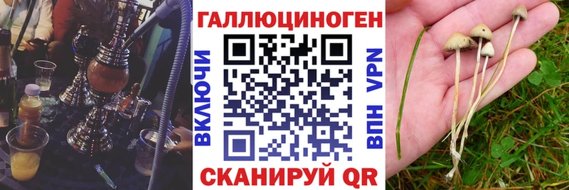 Псилоцибиновые грибы ЛСД  Лениногорск 
