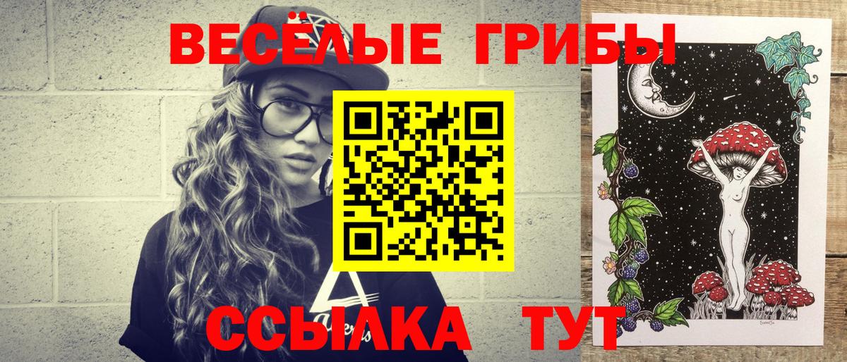 Галлюциногенные грибы Psilocybine cubensis Лениногорск