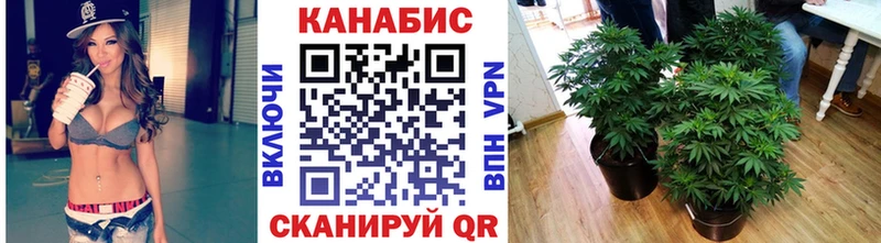 Конопля сатива  купить наркотики сайты  omg ССЫЛКА  Лениногорск 