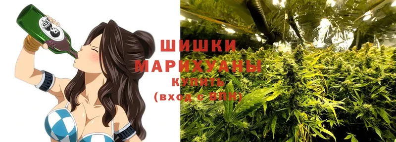 Бошки марихуана сатива  мега маркетплейс  Лениногорск 